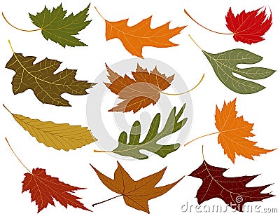 Wind blown fall leaves Vector Illustration