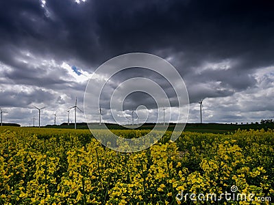 Wind energy field with fantastic dramatic sky Stock Photo