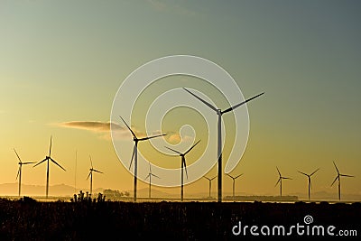 A wind farm of eerie looking turbines in a sunrise Stock Photo