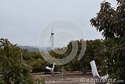 A wind machine on an avocado ranch or farm, 2. Stock Photo
