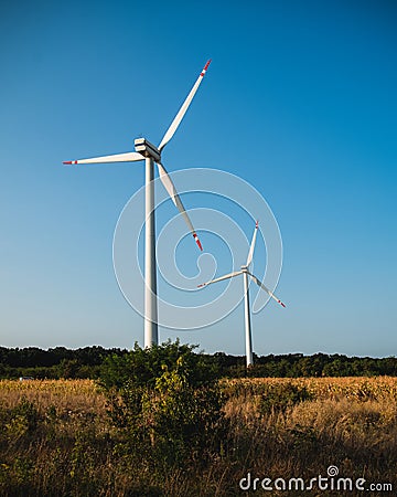 Wind Turbines in Corn Field Stock Photo