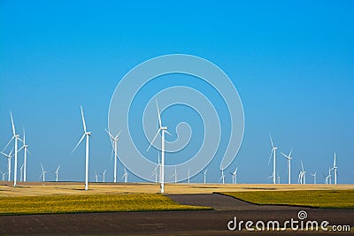 Wind turbines farm on a rural background Stock Photo