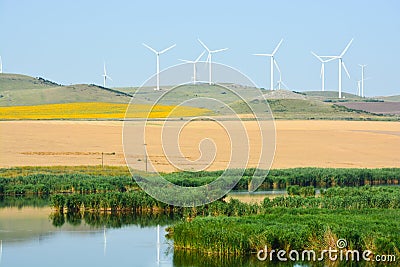 Wind turbines farm on a rural background Stock Photo