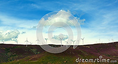 Wind Turbines on Lavender Hills Stock Photo