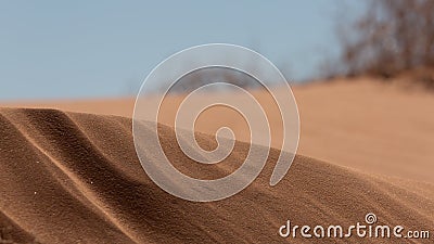 Windblown sand dunes with out of focus plants and blue sky in the background Stock Photo