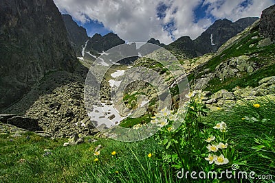Windflowers under Pfinnova kopa mountain over Kotlina piatich Spisskych plies valley Stock Photo