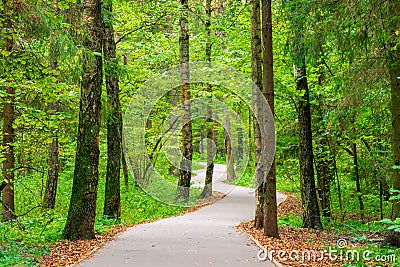 A winding asphalt path in the city park Stock Photo