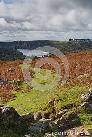 Winding autumn path from Down Tor to Burrator reservoir, Dartmoor,Devon. Stock Photo