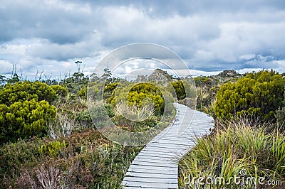 Winding boardwalk among native vegetation in Hartz Mountains Nat Stock Photo