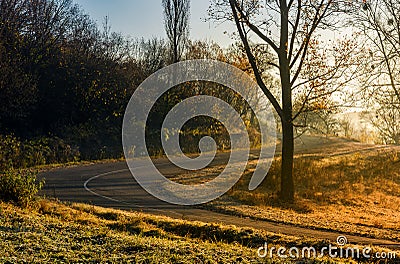 Winding countryside road in late autumn fog Stock Photo