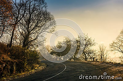Winding countryside road in late autumn fog Stock Photo