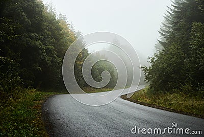 Winding forest road in fog Stock Photo