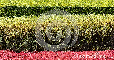 Winding Grass Pathway in Garden Stock Photo