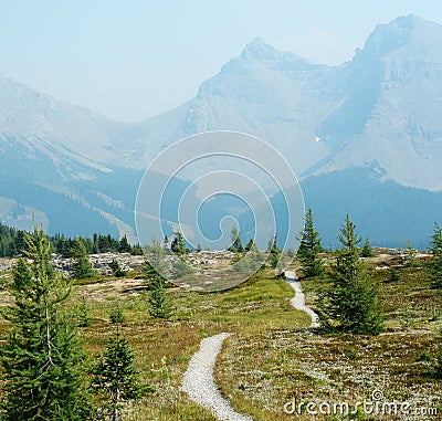 Winding hiking trail in sunshine meadows Stock Photo