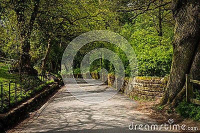 Winding narrow road with stone walls and overhanging trees Stock Photo