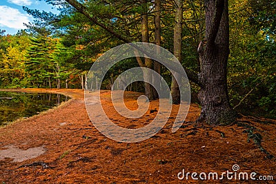 A winding orange path Stock Photo