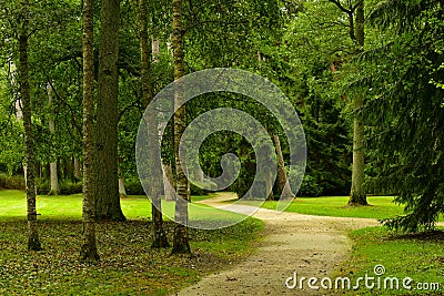 Winding park road Stock Photo