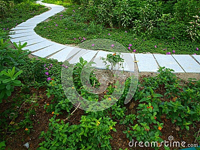 Winding Path in Garden Stock Photo