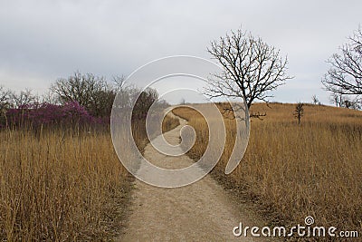 Winding Path Through Prairie Grass Stock Photo