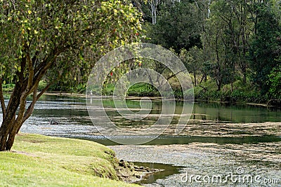 Winding river and peaceful river back at Colleges Crossing near Brisbane Stock Photo