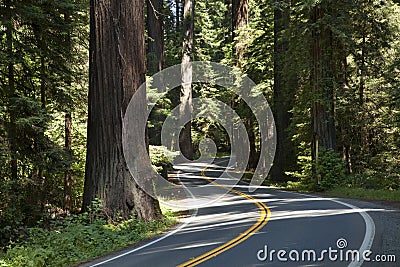 Winding Road Stock Photo