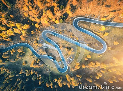 Winding road in autumn forest at sunset in mountains. Aerial view Stock Photo