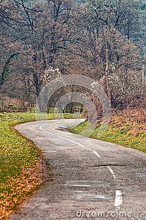 Winding road curves through autumn trees. Stock Photo