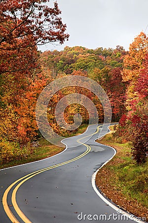 Winding Road in the Fall Stock Photo