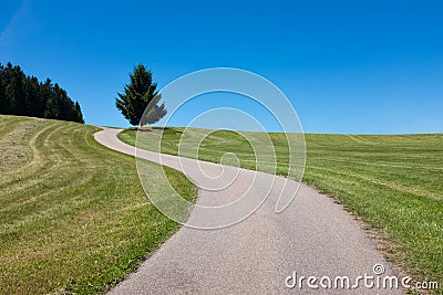 Winding road leads to a tree and a bench in the distance, Black forest, Germany Stock Photo