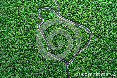 A winding road in the middle of a forest. Aerial view Stock Photo