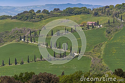 Winding road near La Foce with the famous Cypress trees in the heart of the Tuscany, Italy Stock Photo