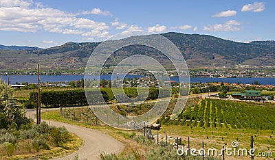 Winding road of Osoyoos Wine Valley Stock Photo