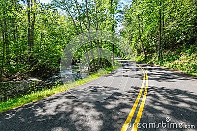 Winding road through the trees of Tremont GSMNP Stock Photo
