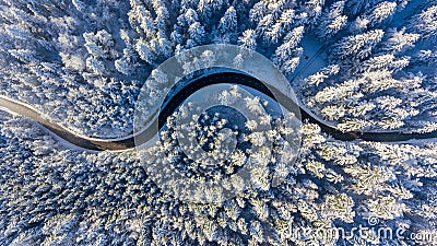 Winding road through a winter forest. Stock Photo