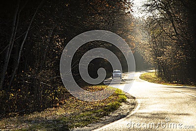 winding rual road with car inside colorful summer forest Stock Photo