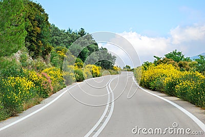 Winding tarmac road with flowers Stock Photo