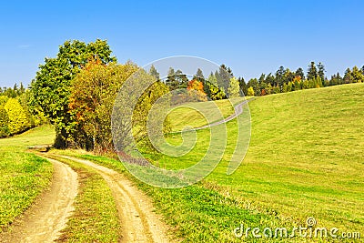 Winding track in autumn Stock Photo