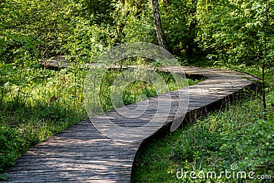 A winding wooden bridge in the forest. A forest path leading across a bridge in a dendrological park. Stock Photo