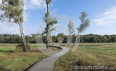 A winding wooden hiking trail Stock Photo