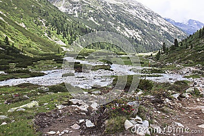 Winding Zamser Bach in Tyroler Ziller Valley, Aust Stock Photo
