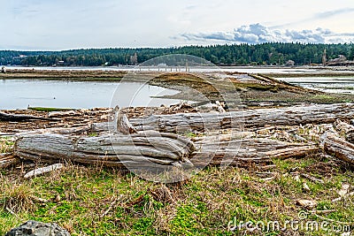 Windjammer Park Landscape Stock Photo
