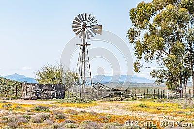 Windmill, dam and a kraal Stock Photo