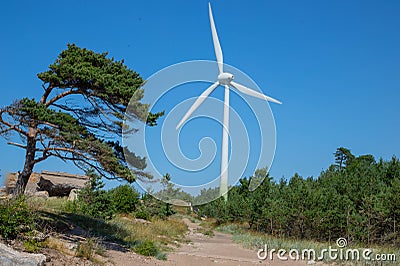 Windmill for electricity generation in the forest in Liepaja Stock Photo