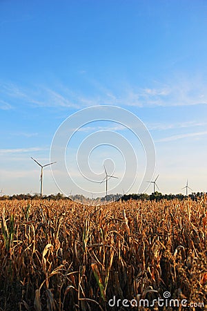 Windmill farm for renewable electric energy production Stock Photo