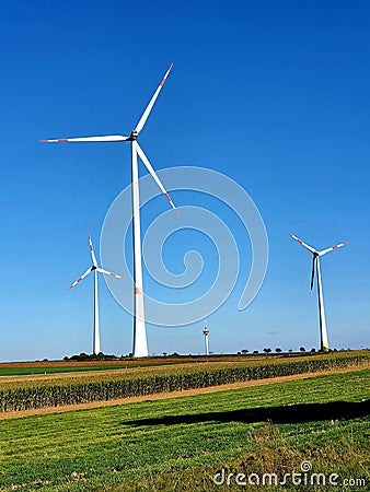 Windmill fields Stock Photo
