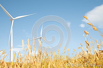 Windmill Grassland Field Hill Natural Scenics Concept Stock Photo