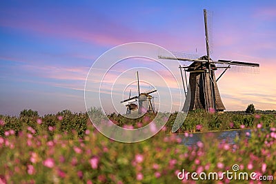 Windmill in Kinderdijk, Holland Stock Photo