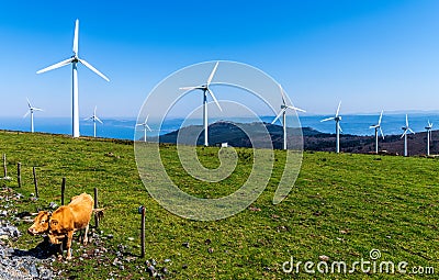 Windmill turbines in agricultural field with ocean background. Stock Photo