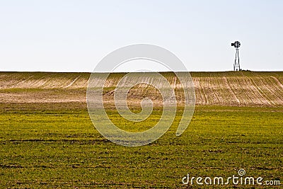Windmill and Winter Wheat Stock Photo
