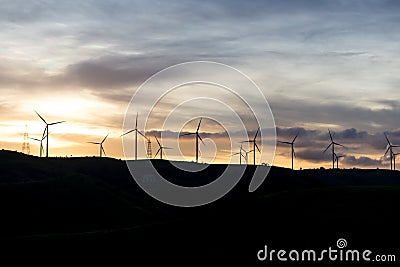 Windmills for electric power production with sunset sunlight Stock Photo